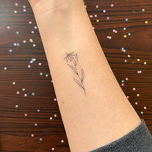 Load image into Gallery viewer, Botanical Blooms Tattoo Pack